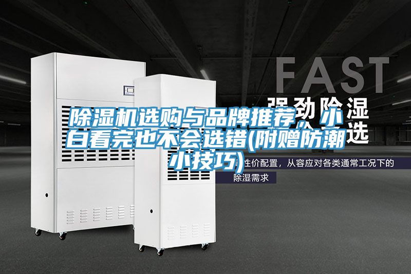 除濕機(jī)選購與品牌推薦，小白看完也不會選錯(附贈防潮小技巧)