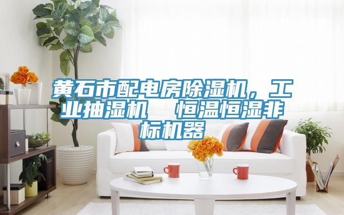 黃石市配電房除濕機，工業(yè)抽濕機  恒溫恒濕非標機器