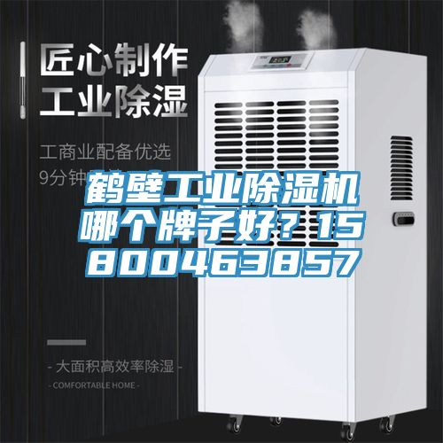 鶴壁工業(yè)除濕機(jī)哪個(gè)牌子好？15800463857