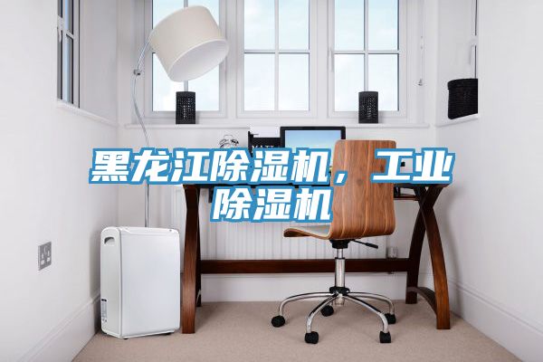 黑龍江除濕機，工業(yè)除濕機